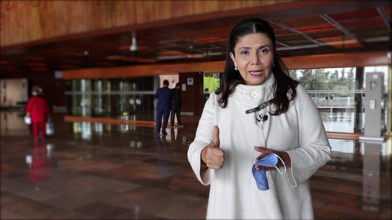 Codigo De Defensa Social De Puebla